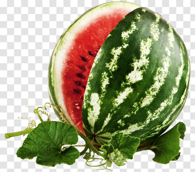 Frutti Di Bosco Citrullus Lanatus Berry Muskmelon - Cucumber Gourd And Melon Family - Watermelon Transparent PNG