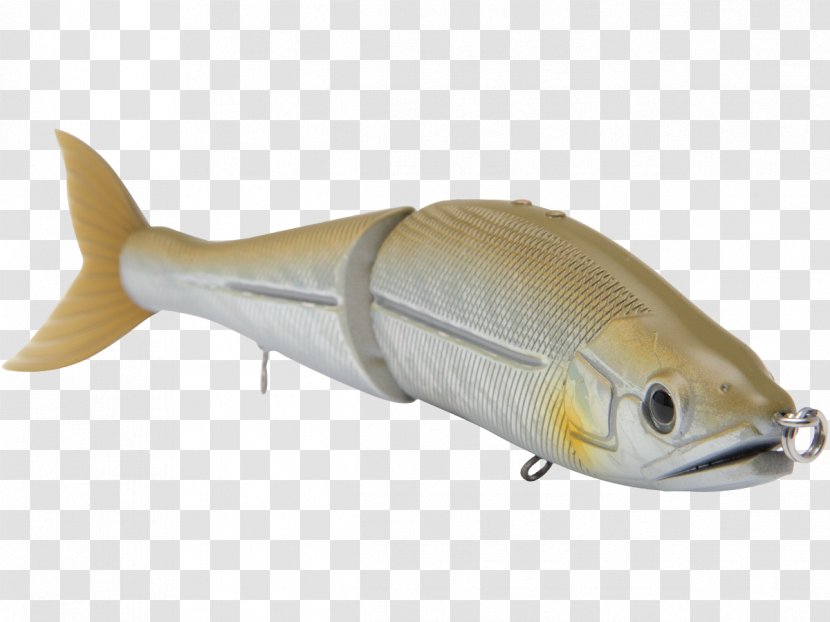 Plug Fishing Baits & Lures Swimbait - Bony Fish Transparent PNG