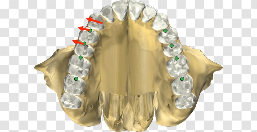 Jaw - Peter Brady Transparent PNG