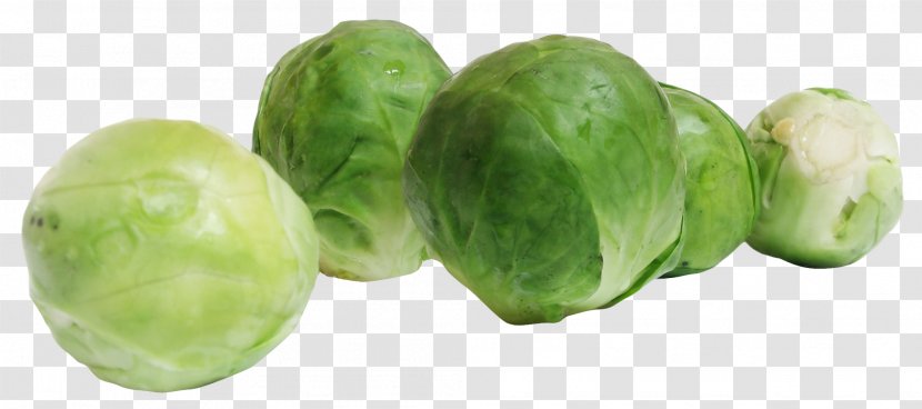 Brussels Sprout Cabbage Vegetable Sprouting - Fruit - Sprouts Transparent PNG