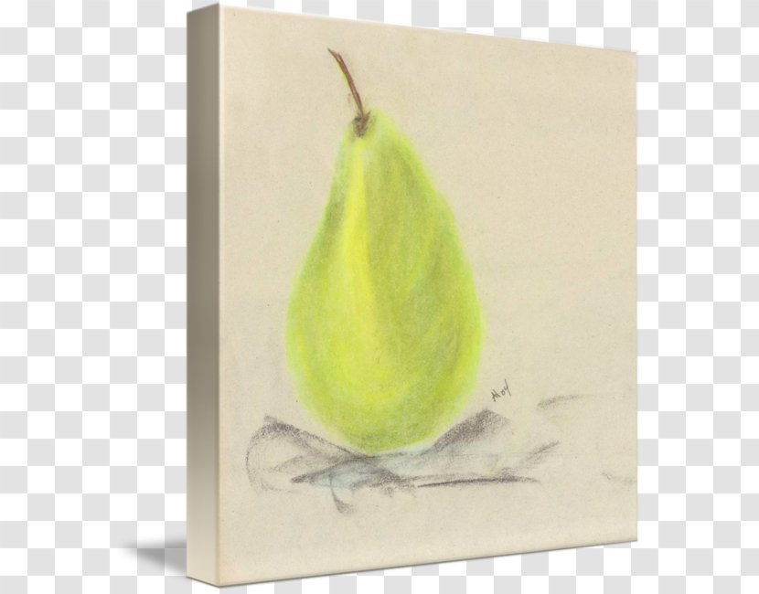 Still Life Photography Pear Drawing Transparent PNG