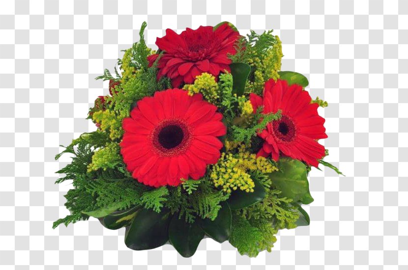 Transvaal Daisy Floral Design Cut Flowers Red - Arrangement - Flower Transparent PNG