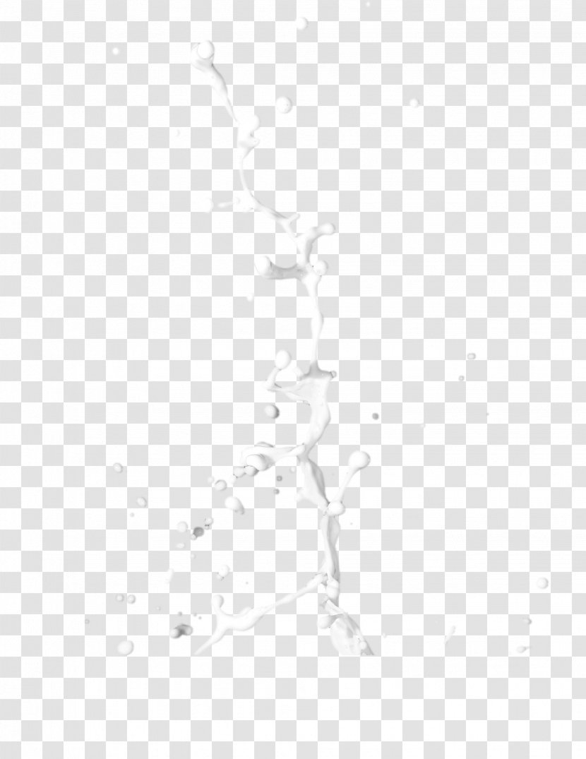 Feather Euclidean Vector - Black And White - Splash Of Milk Transparent PNG