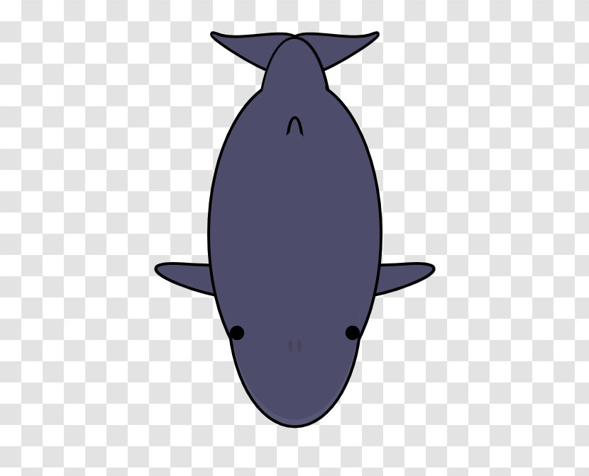 Porpoise Cetacea Clip Art - Marine Mammal - Design Transparent PNG