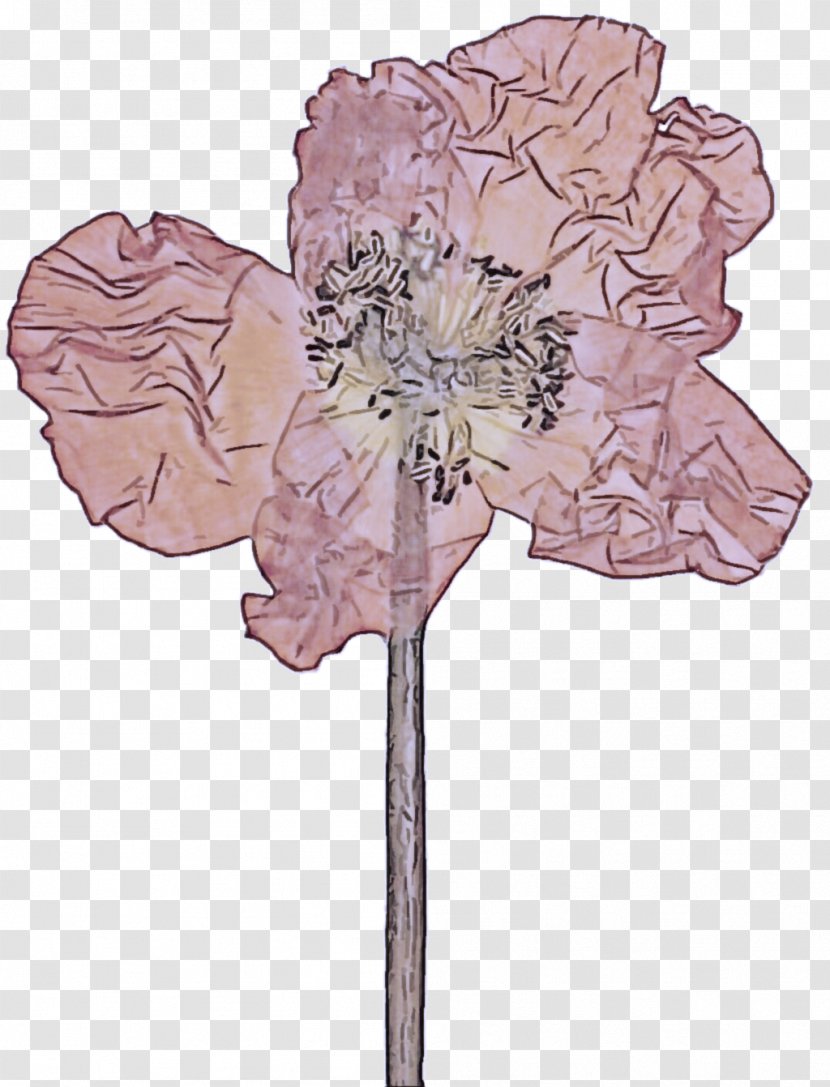 Flower Leaf Plant Pink Tree - Stem Petal Transparent PNG