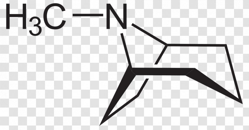 Cocaine Drug Cocaethylene Structure Ecgonine - Frame - Cocain Transparent PNG
