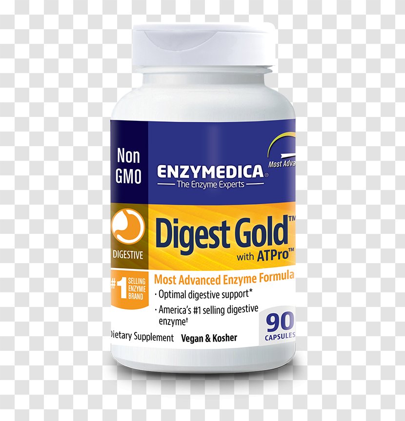 Dietary Supplement Digestion Digestive Enzyme Food Transparent PNG