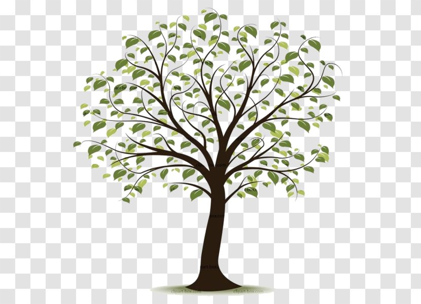 Clip Art Openclipart Free Content Image Tree - Branch Transparent PNG