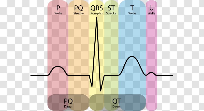 Electrocardiography Heart Cardiology Systole QRS Complex - Flower - Ecg Transparent PNG