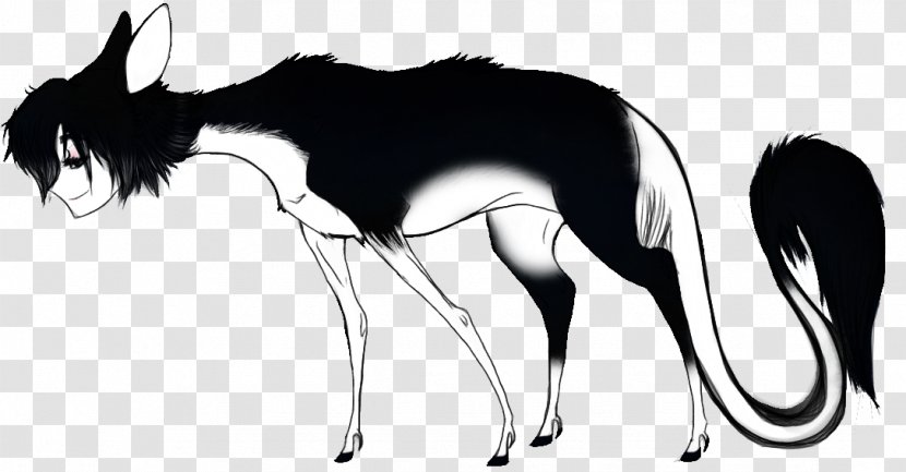 Canidae Cat Macropods Horse Mammal - Fiction Transparent PNG