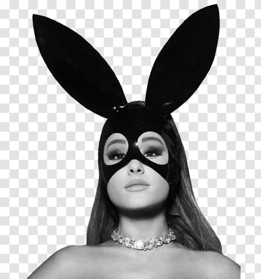 Dangerous Woman Tour The Honeymoon Image Photography - Frame - My Everything Ariana Grande Transparent PNG