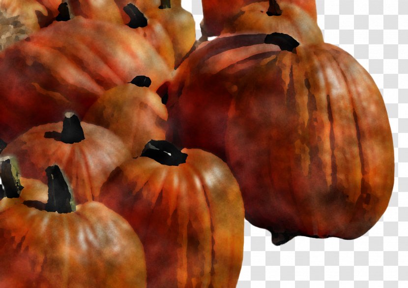 Pumpkin - Gourd Cucurbita Transparent PNG