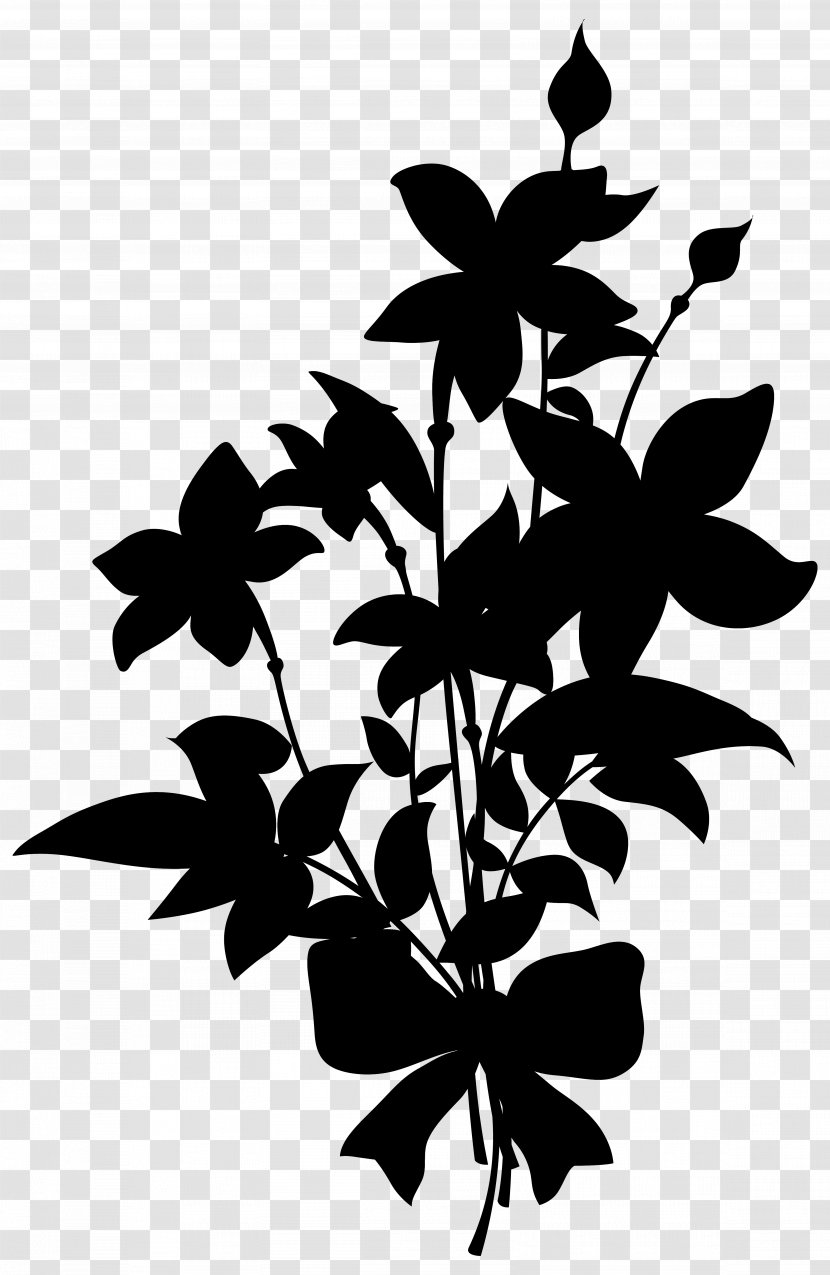 Lily Flower Nosegay Vector Graphics - Monochrome Photography - Architecture Transparent PNG