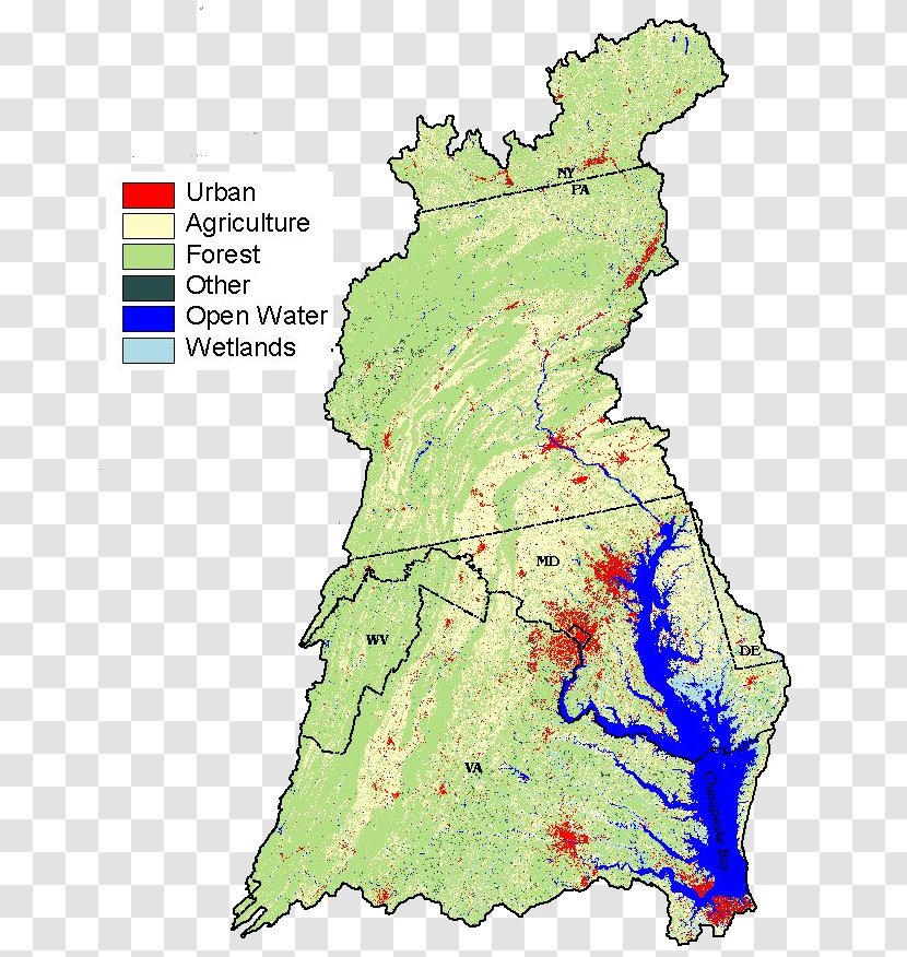Chesapeake Bay Agriculture Water Resources Sewage Treatment Surface Runoff - Map - Tree Transparent PNG