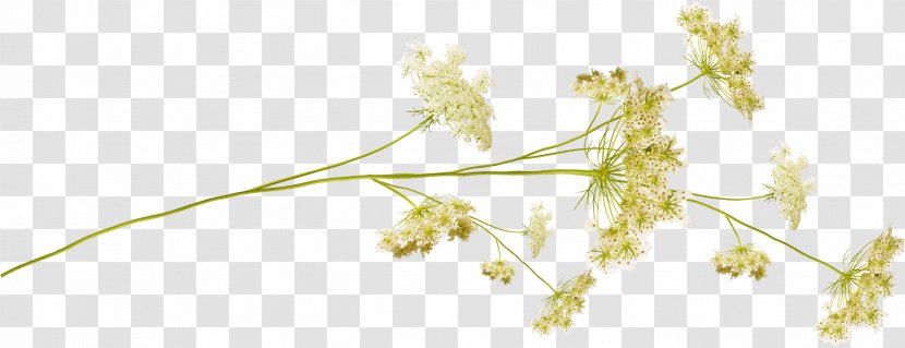 Flower Desktop Wallpaper Plant Stem - Branch - Small Flowers Transparent PNG