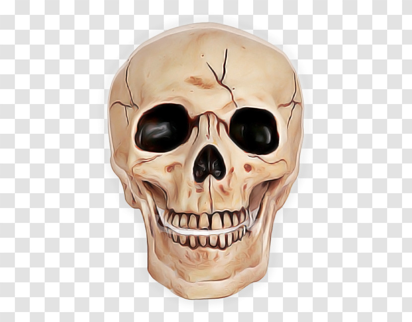 Bone Skull Face Skeleton Head Transparent PNG