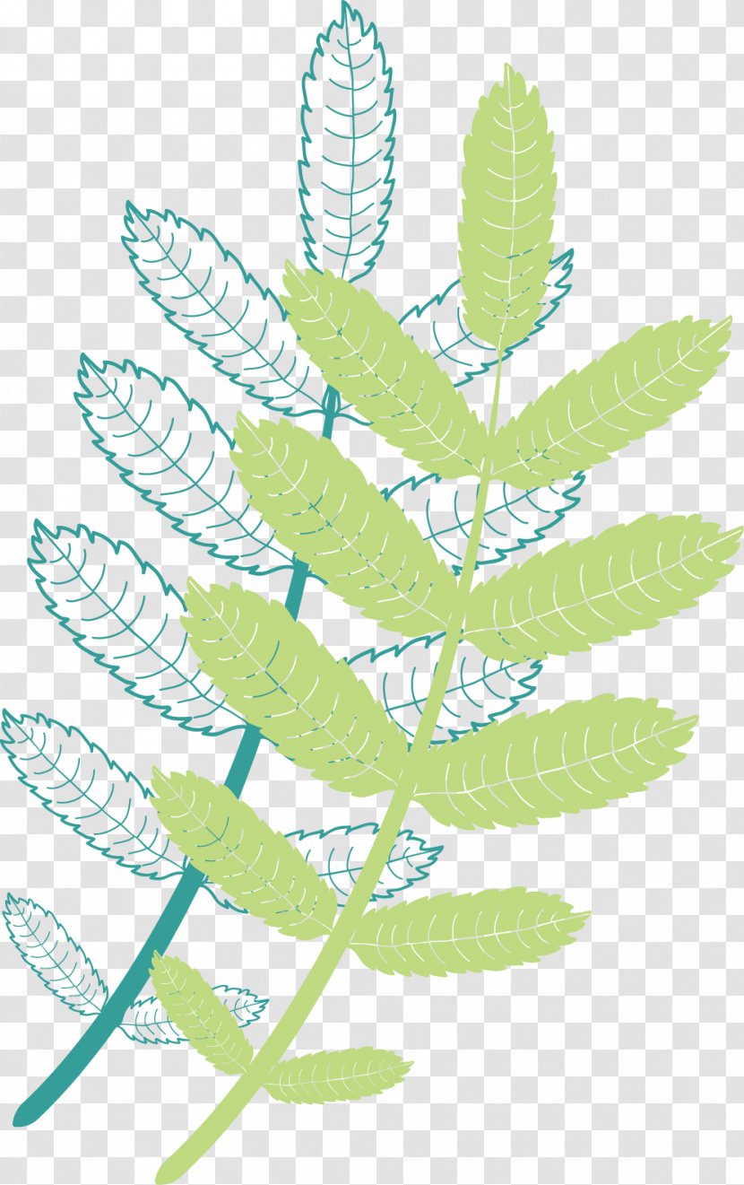 Leaf Plant Stem Pattern - Leaves Transparent PNG