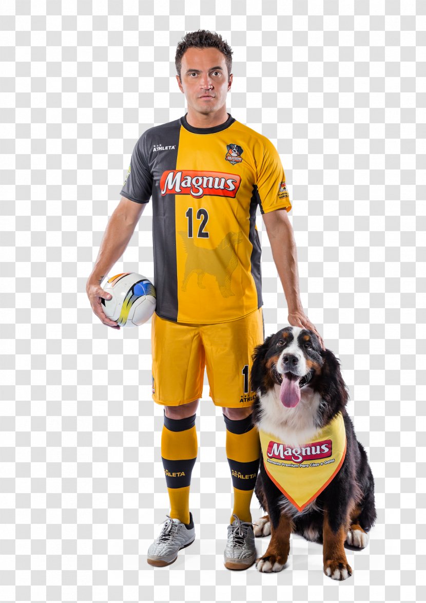 Futsal Brasil Kirin Football Player São Paulo FC Sport - Ball Transparent PNG