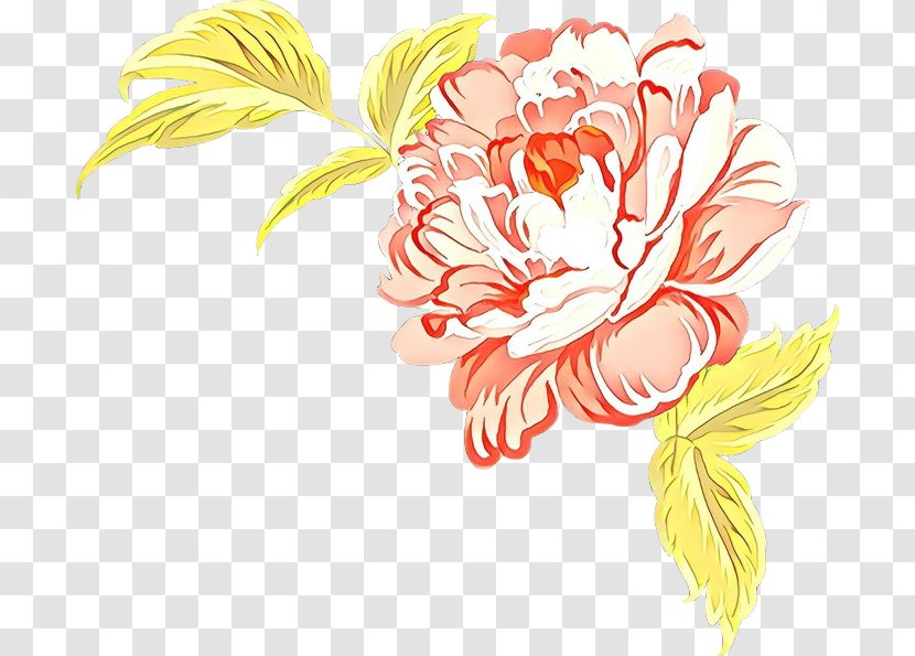 Floral Design - Cut Flowers Transparent PNG