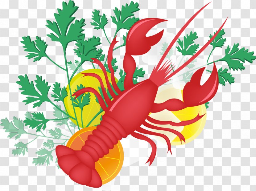 Lobster Palinurus Clip Art - Food - Vector Transparent PNG