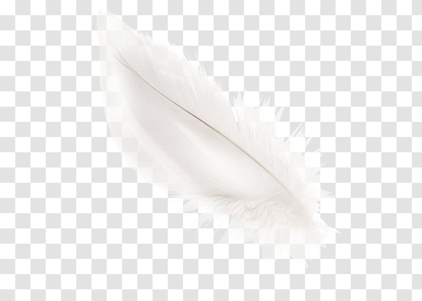 White Feather Material Black - And Transparent PNG