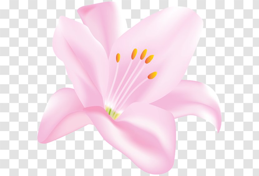 Christmas Flower Easter Clip Art - Pink - Spa Transparent PNG