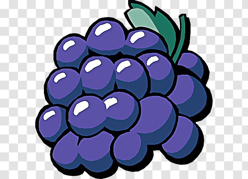 Grape Purple Grapevine Family Violet Fruit - Berry Plant Transparent PNG