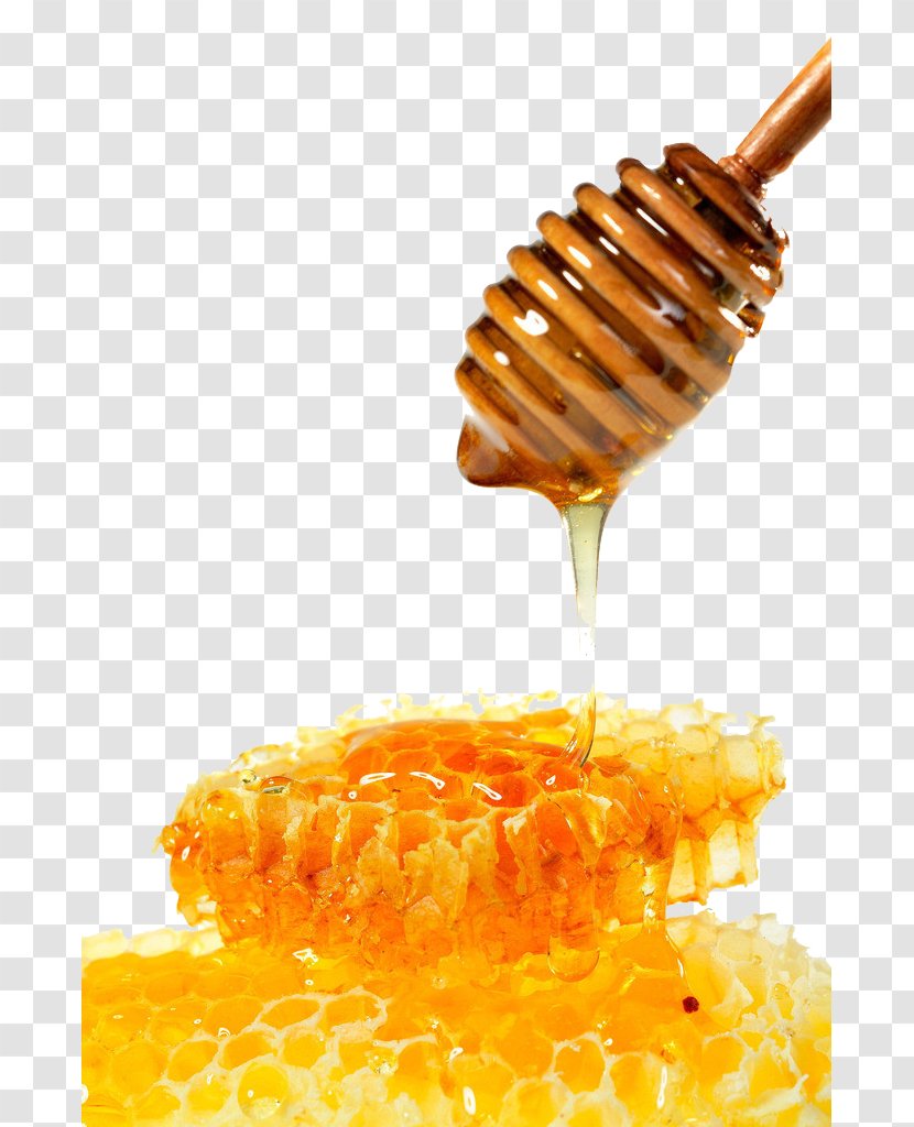 Honey Bee Mu0101nuka Honeycomb - Seasoning Transparent PNG