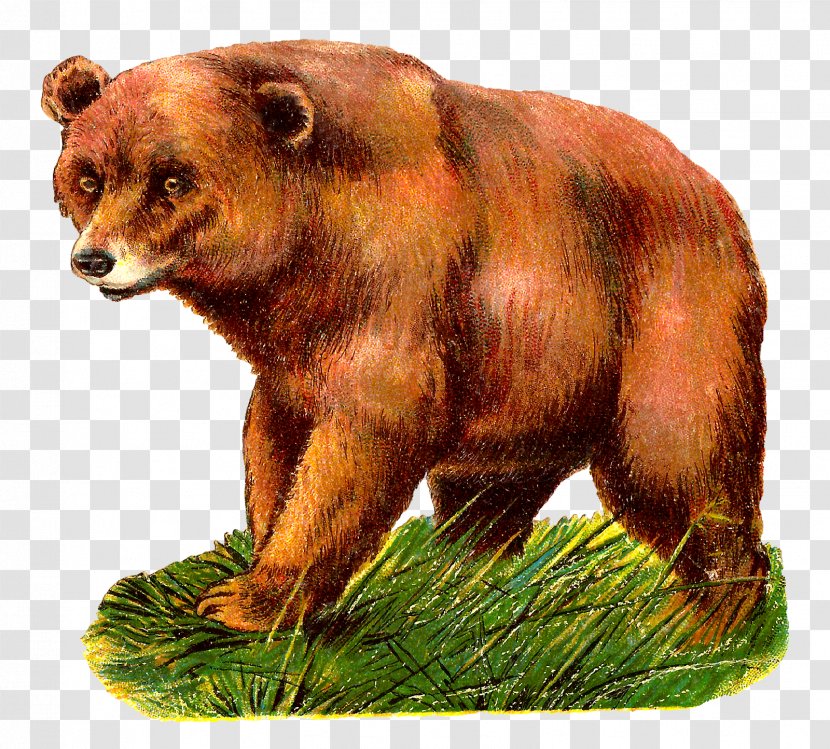Grizzly Bear Alaska Peninsula Brown Clip Art - Terrestrial Animal Transparent PNG