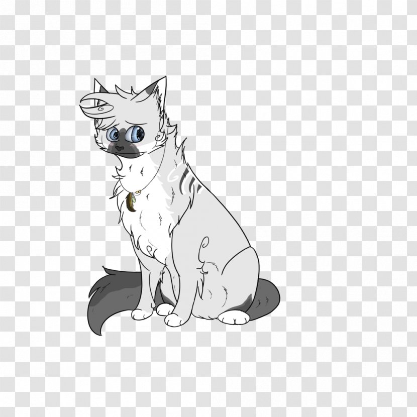 Whiskers Kitten Cat Dog Paw - Big Cats Transparent PNG