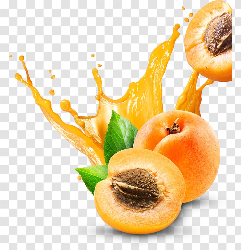 Orange Juice Smoothie Grapefruit - Citrus - Fresh Transparent PNG