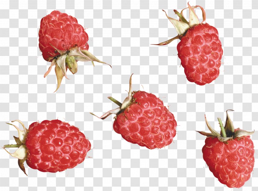 Raspberry PhotoScape - Natural Foods - Rraspberry Image Transparent PNG