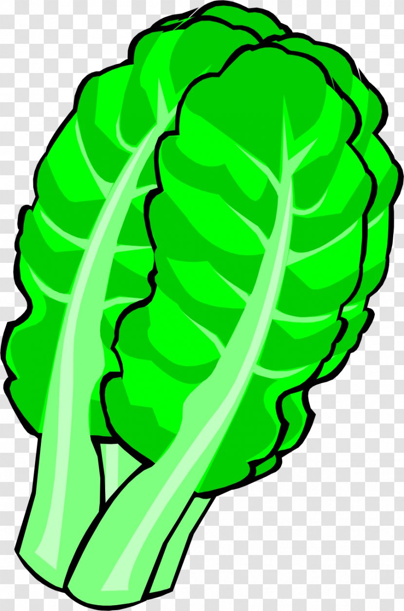 Chinese Cabbage Leaf Vegetable Clip Art - Flower Transparent PNG