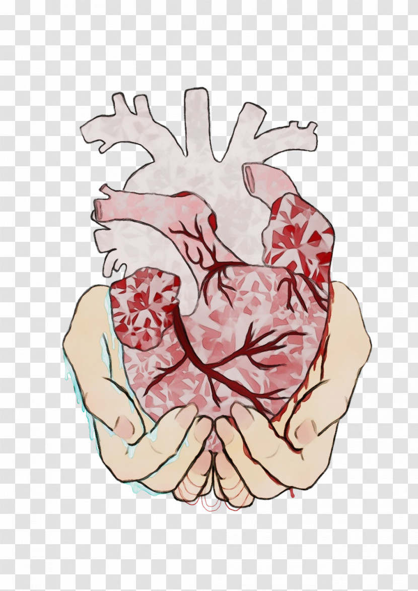 Visual Arts Flesh M Flesh M Cartoon Pink M Transparent PNG