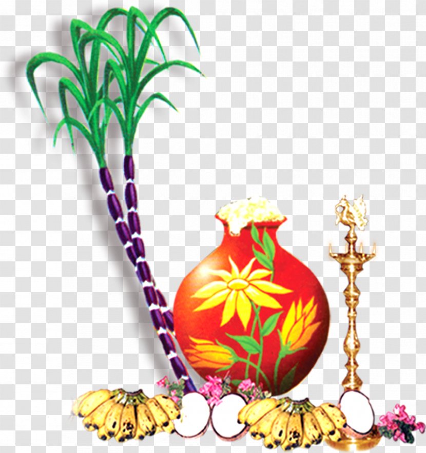 Thai Pongal Wish Greeting Happiness - Vegetable - Cane Transparent PNG