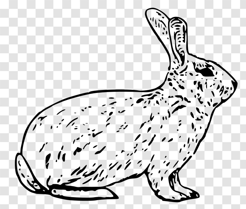 Snowshoe Hare Arctic Rabbit Clip Art - Snow Transparent PNG