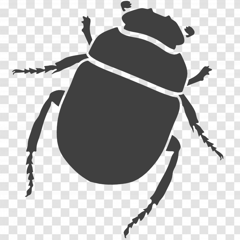 Beetle Constructive Solid Geometry Computer-aided Design AutoCAD Modeling - Insect Transparent PNG