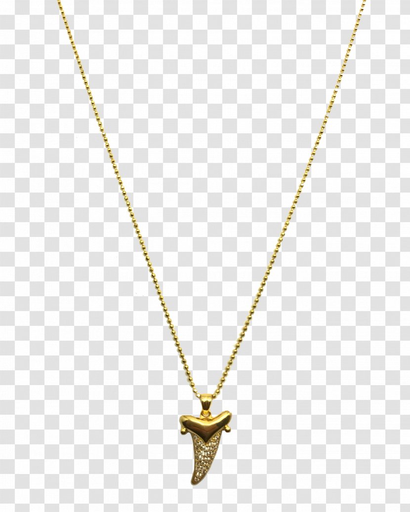 Gold Background - Necklace - Metal Chain Transparent PNG