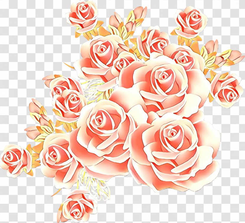 Garden Roses - Flower - Bouquet Peach Transparent PNG