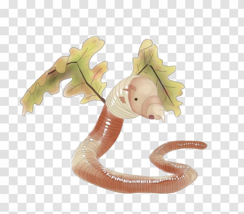 Reptile Figurine - Organism - Boulders Transparent PNG