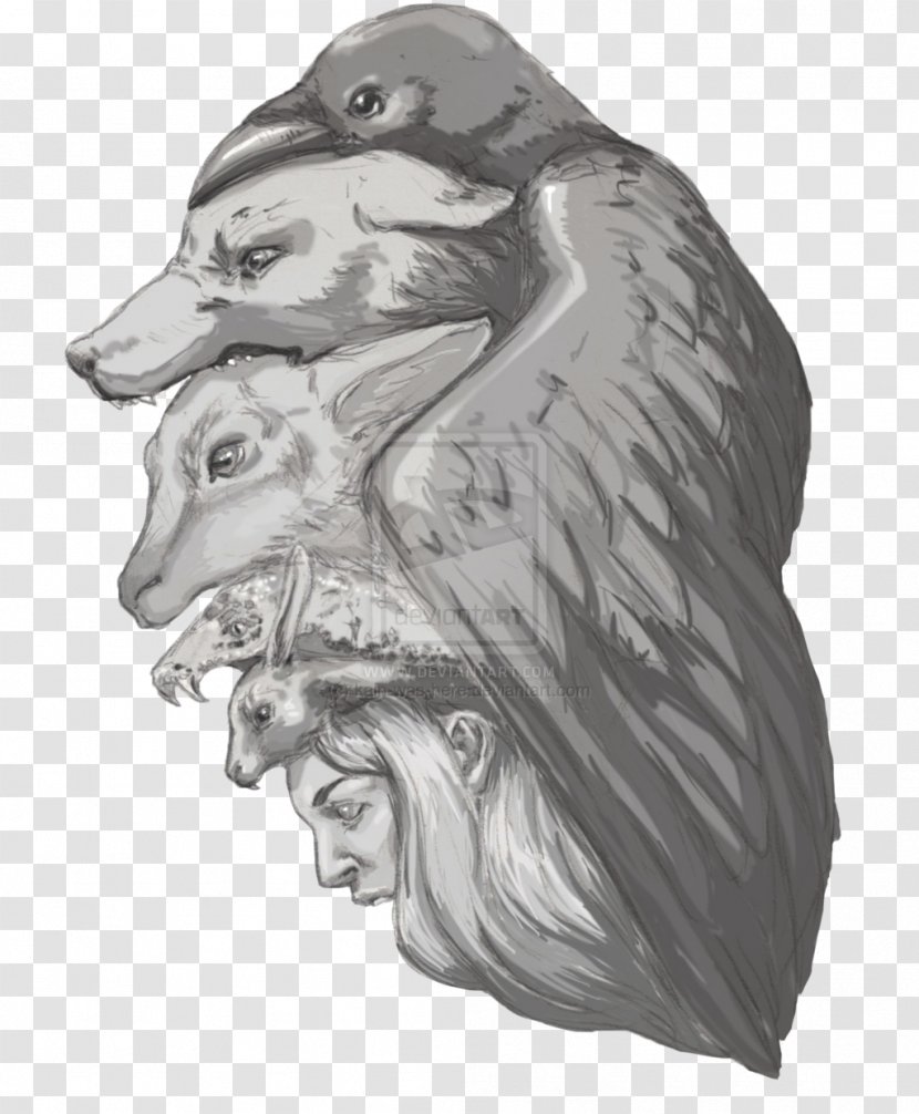 Lion Black And White Beast Belle Sketch - Artwork Transparent PNG