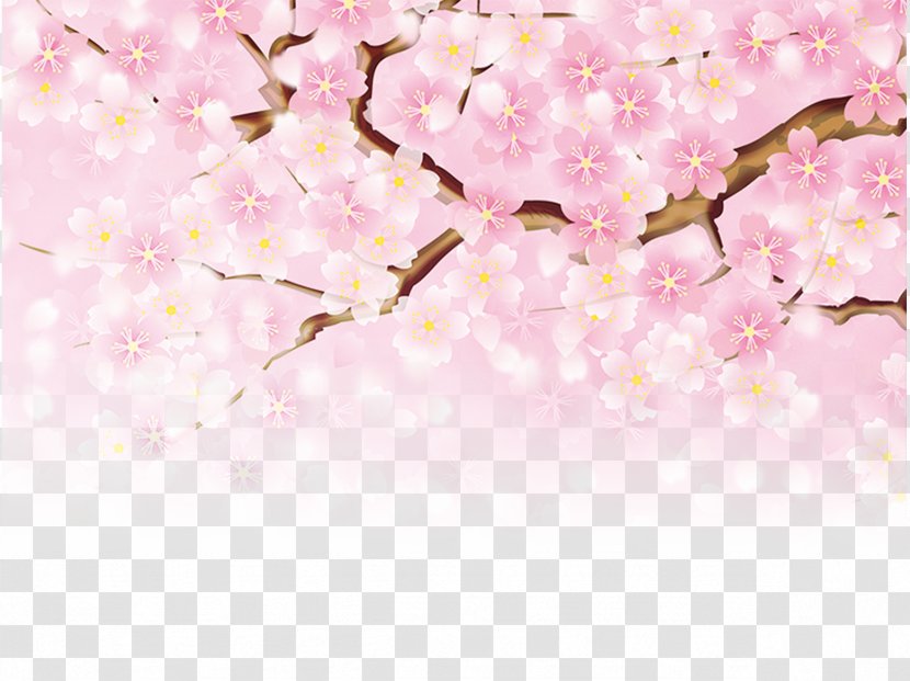 Peach Fundal Pink Poster - Color - Cherry Blossoms Transparent PNG