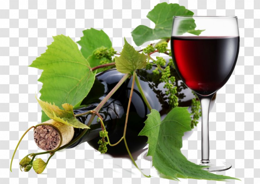 Red Wine Pinot Noir Rosé Bottle - Grapevine Family Transparent PNG