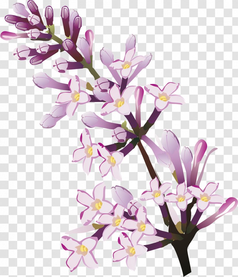 Cut Flowers Floral Design Lilac Floristry - Flowering Plant Transparent PNG
