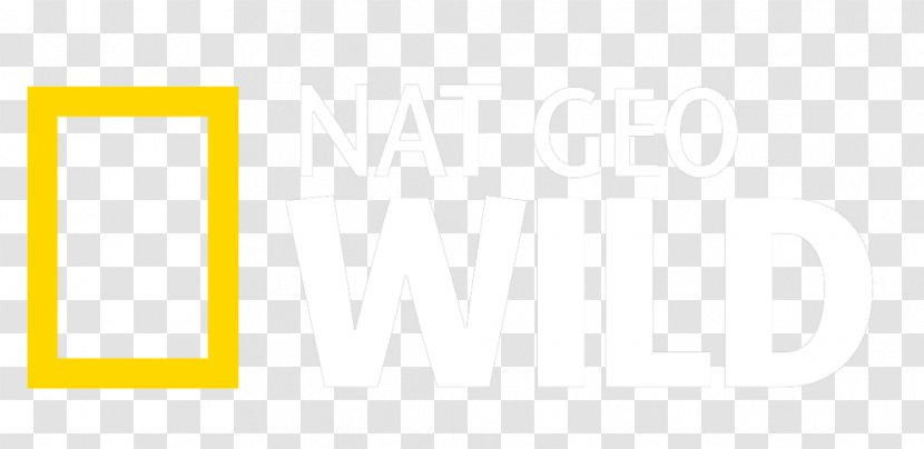 Paper Logo Line Font - Area Transparent PNG