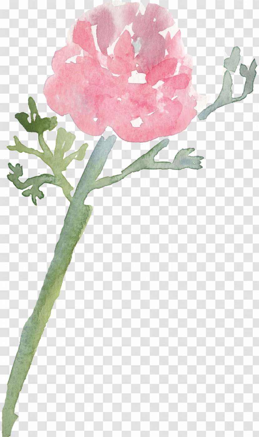 Gift Flower Mother's Day Cabbage Rose Floral Design - Floristry Transparent PNG