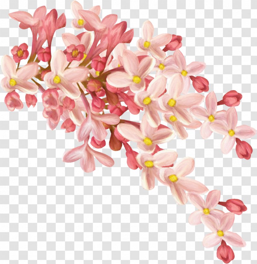 Osmanthus Cake Flower Clip Art - Flowering Plant - Lilac Transparent PNG
