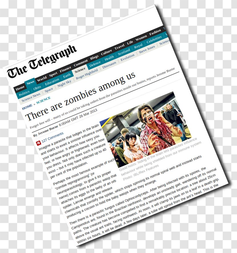 News Of The World Blog Web Page Journalist - Wordpress - Human Being Transparent PNG