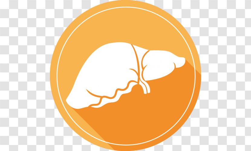 Drug Liver Health Care Therapy - Tree Transparent PNG