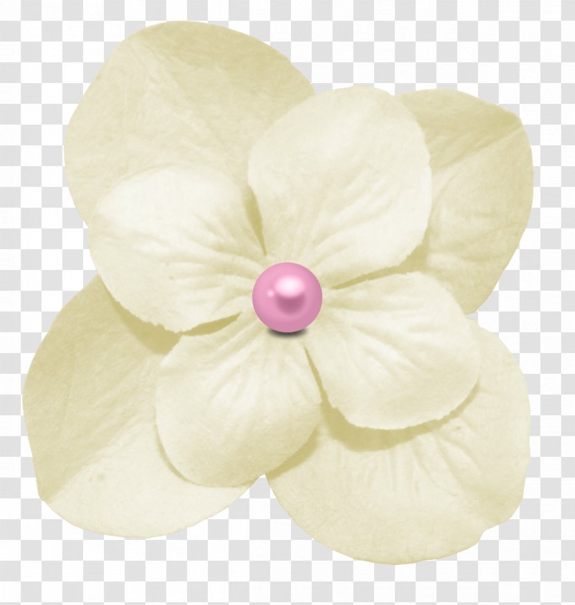 Jewellery - White - Flower Transparent PNG